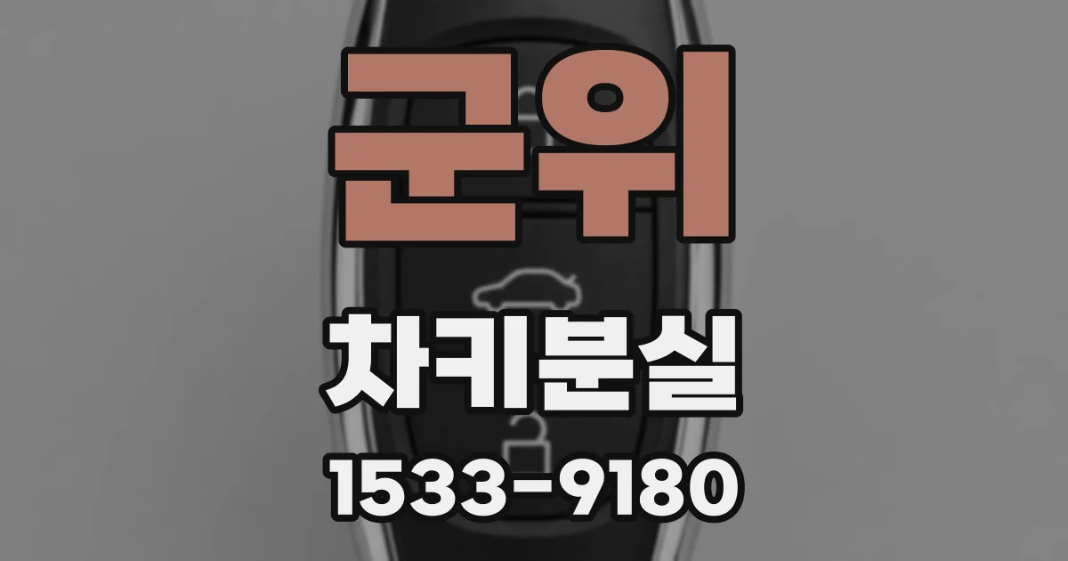 군위 차키분실