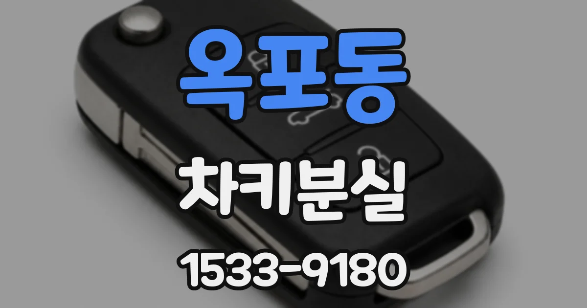 옥포동 차키분실