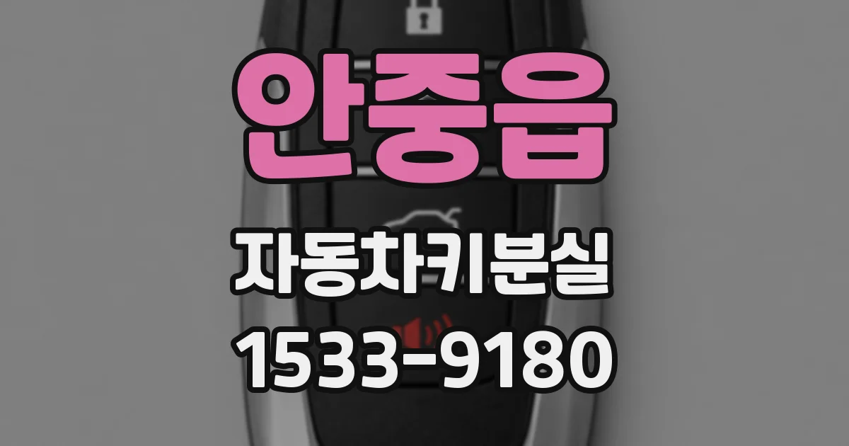 안중읍 자동차키분실