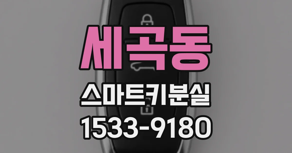 세곡동 스마트키분실