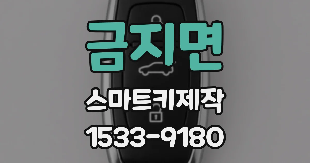 금지면 스마트키제작