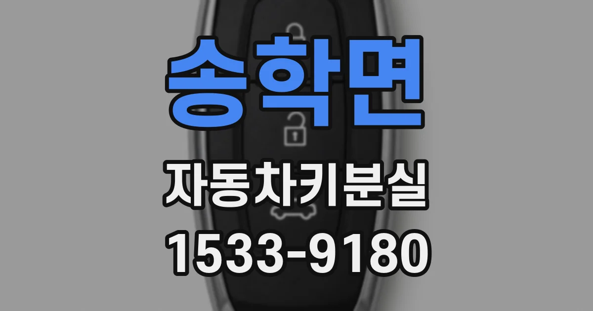 송학면 자동차키분실