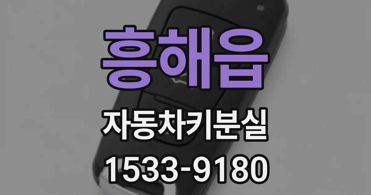흥해읍 자동차키분실
