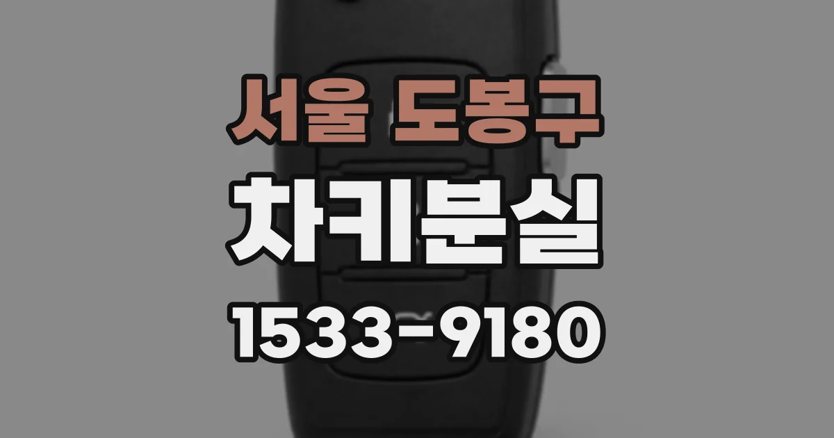 서울 도봉구 차키분실
