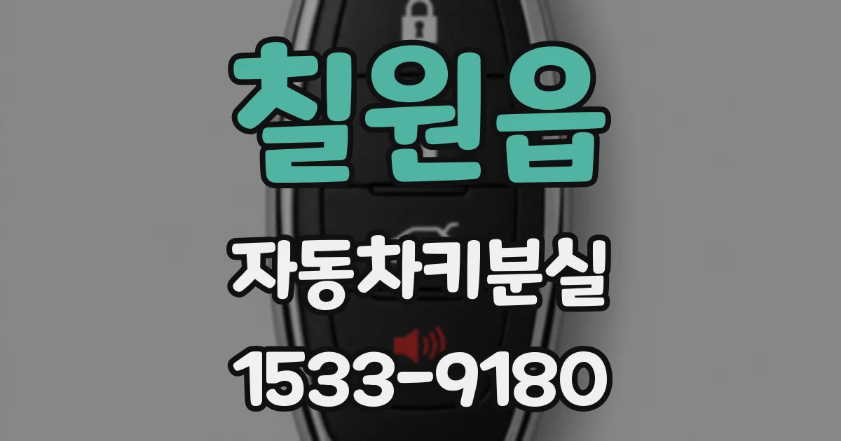 칠원읍 자동차키분실