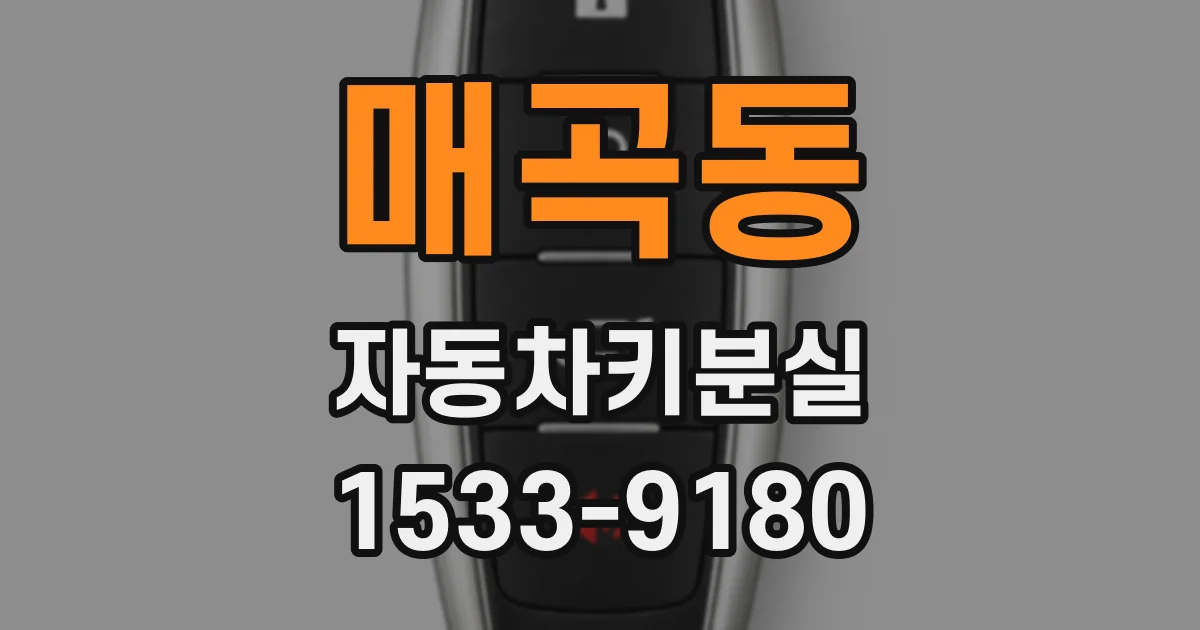 매곡동 자동차키분실
