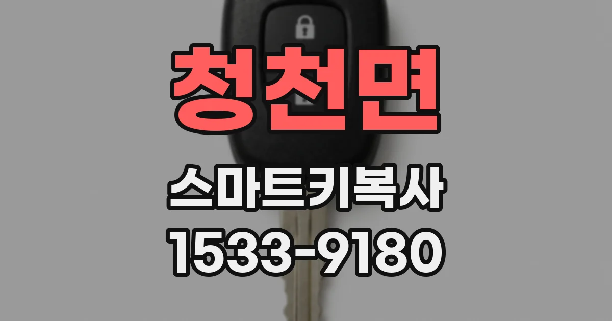 청천면 스마트키복사