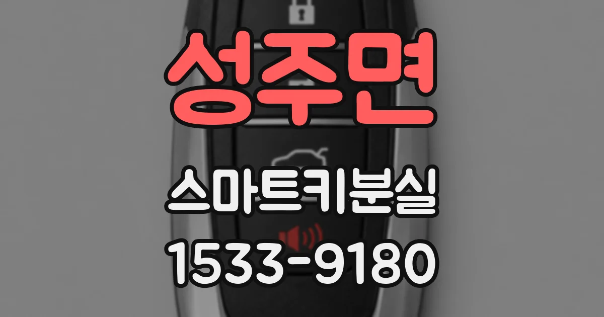 성주면 스마트키분실