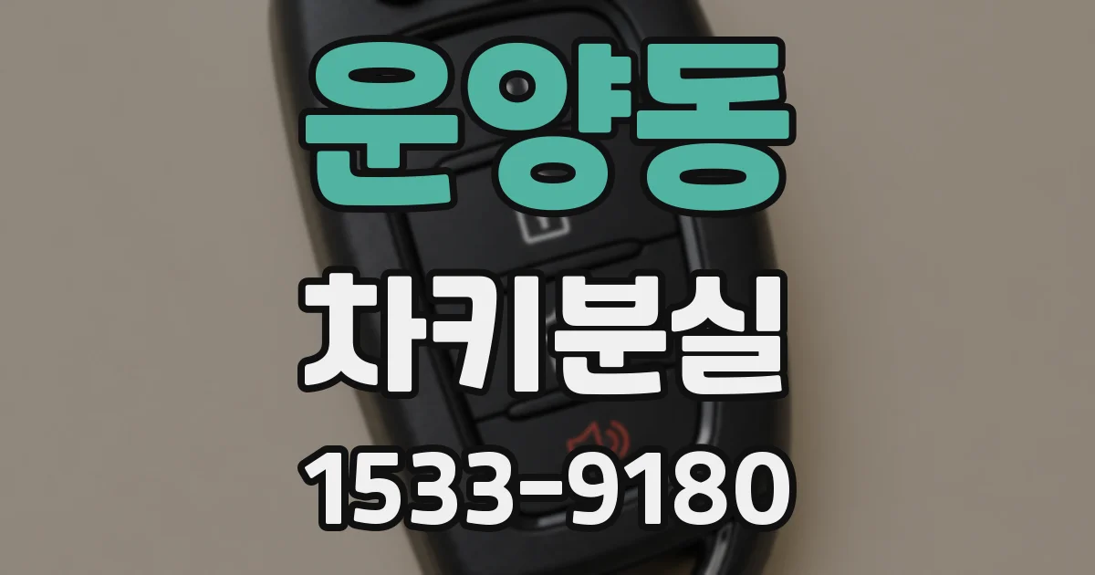 운양동 차키분실