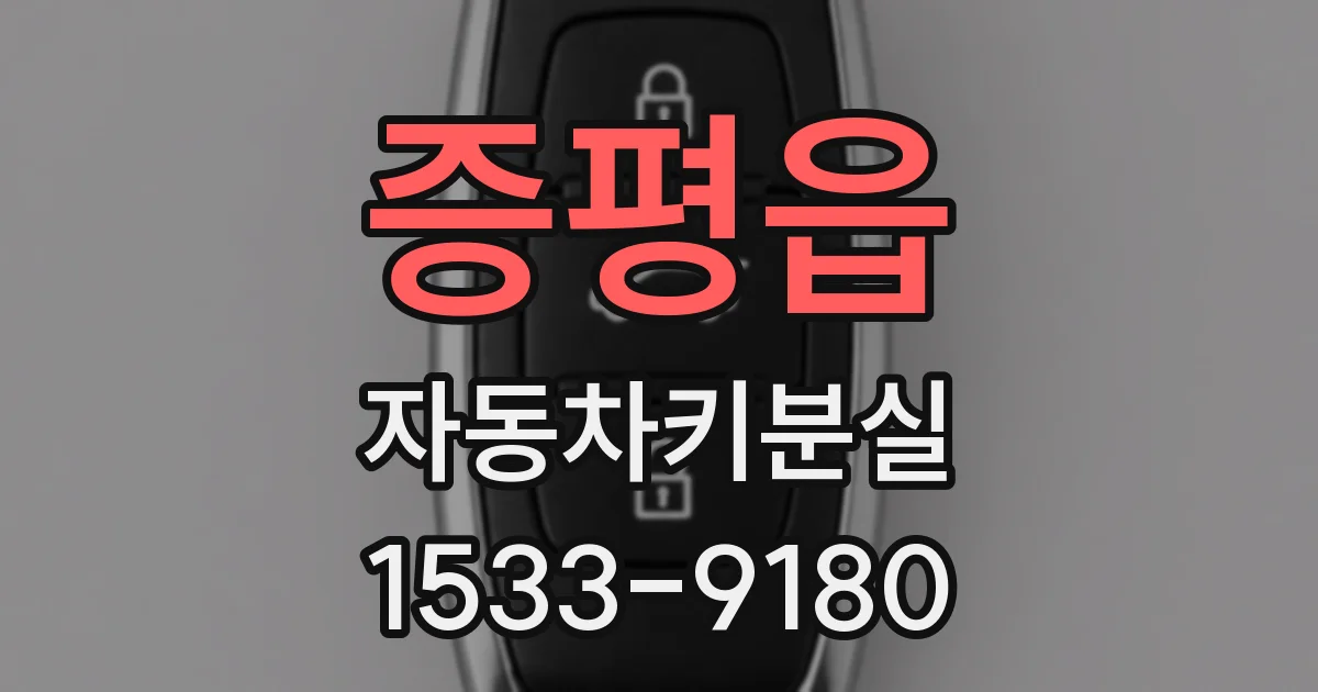 증평읍 자동차키분실