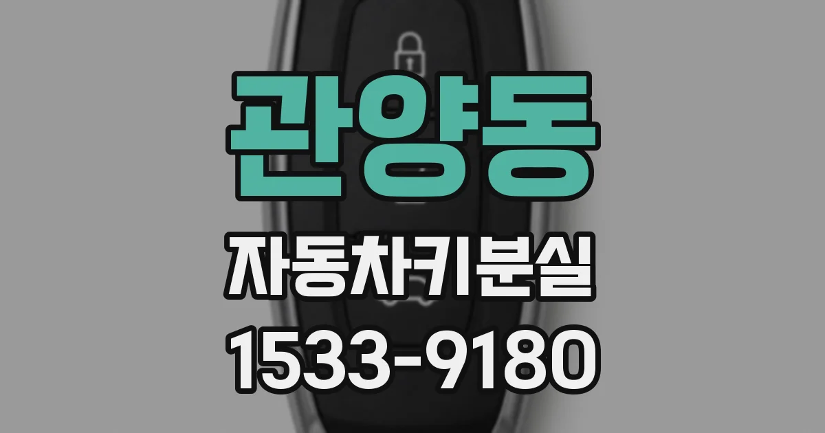관양동 자동차키분실