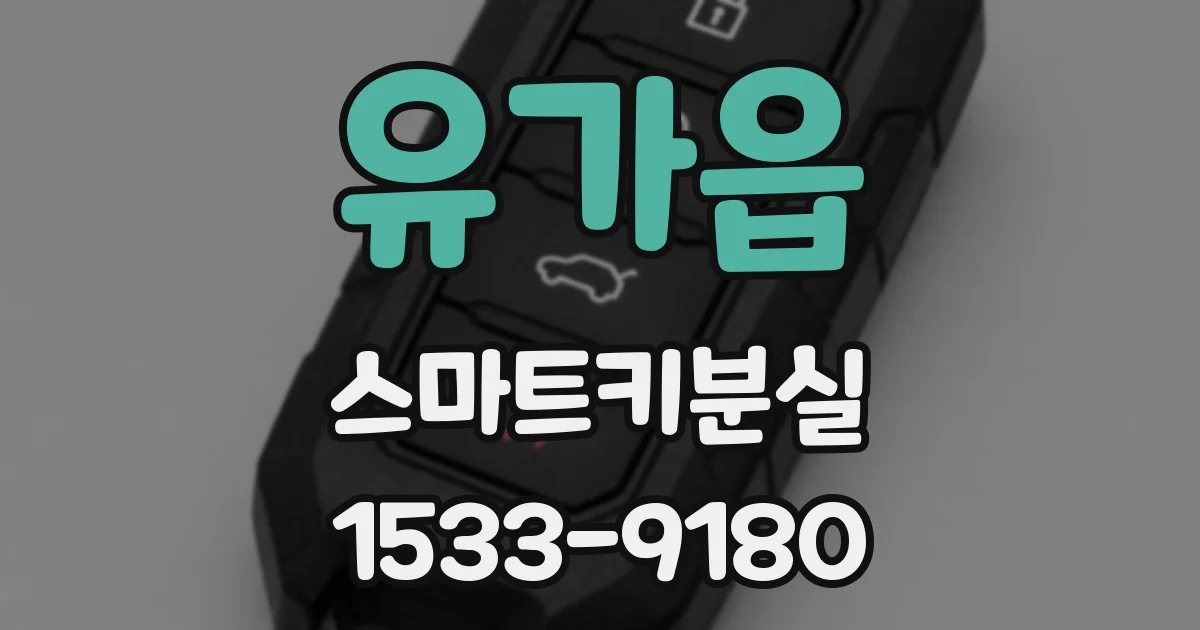유가읍 스마트키분실