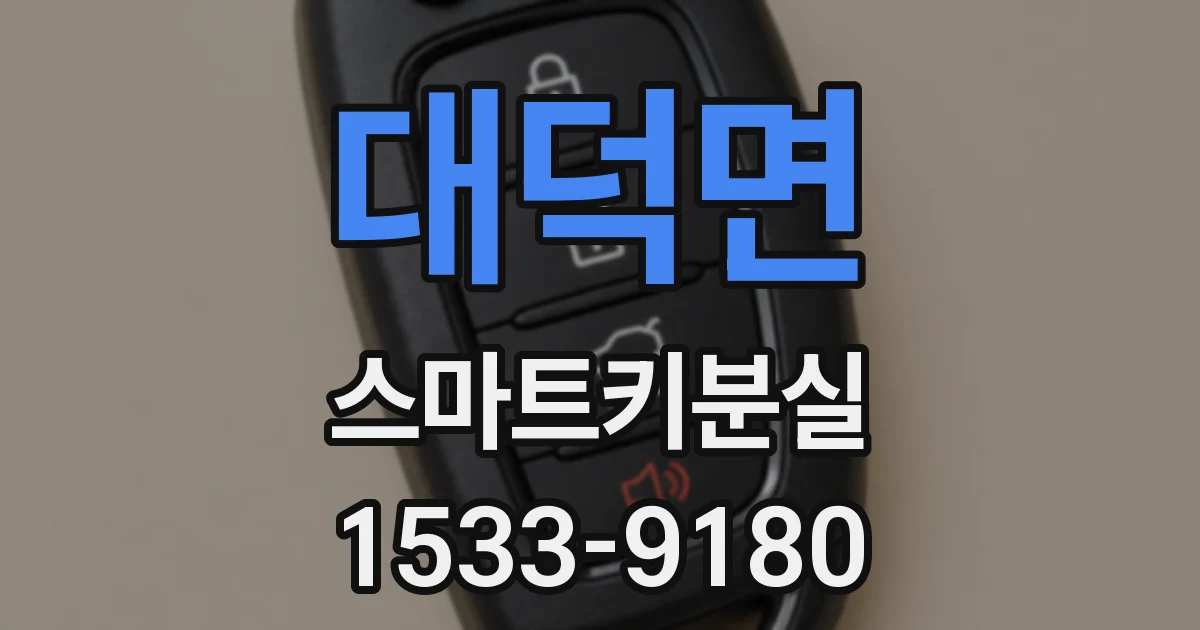 대덕면 스마트키분실
