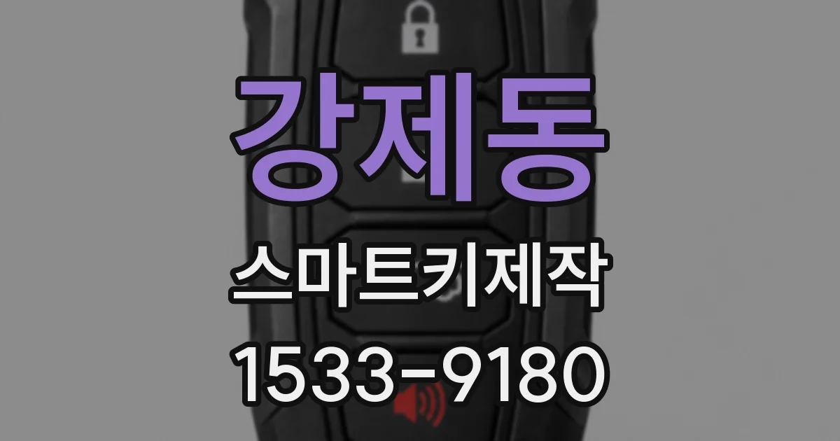 강제동 스마트키제작
