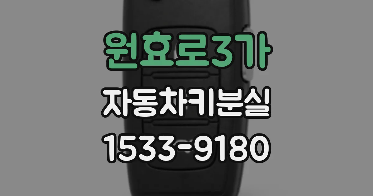 원효로3가 자동차키분실