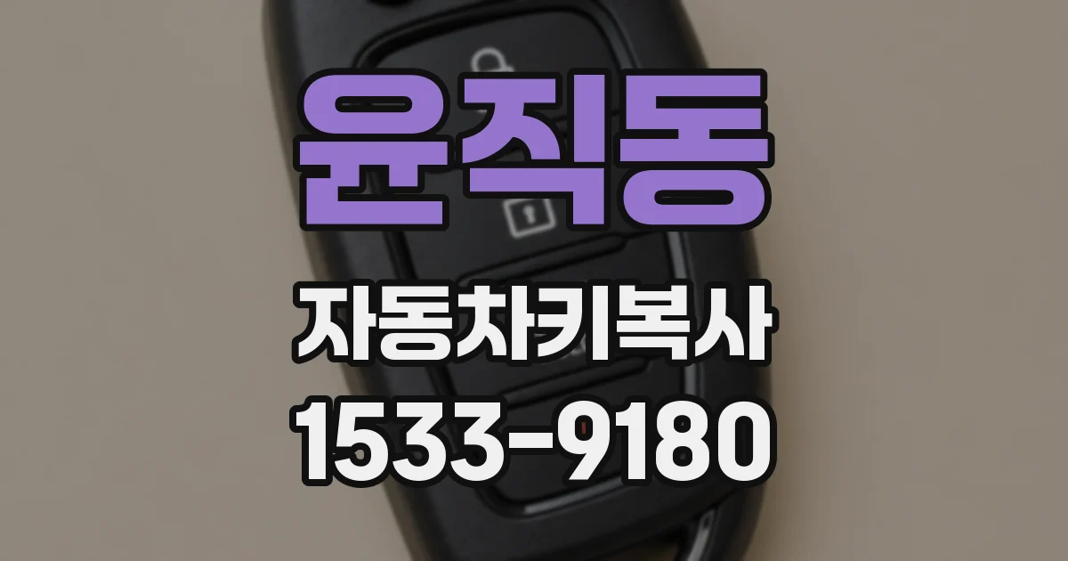 윤직동 자동차키복사