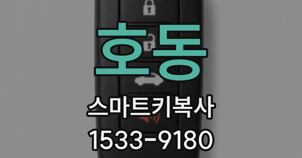 호동 스마트키복사