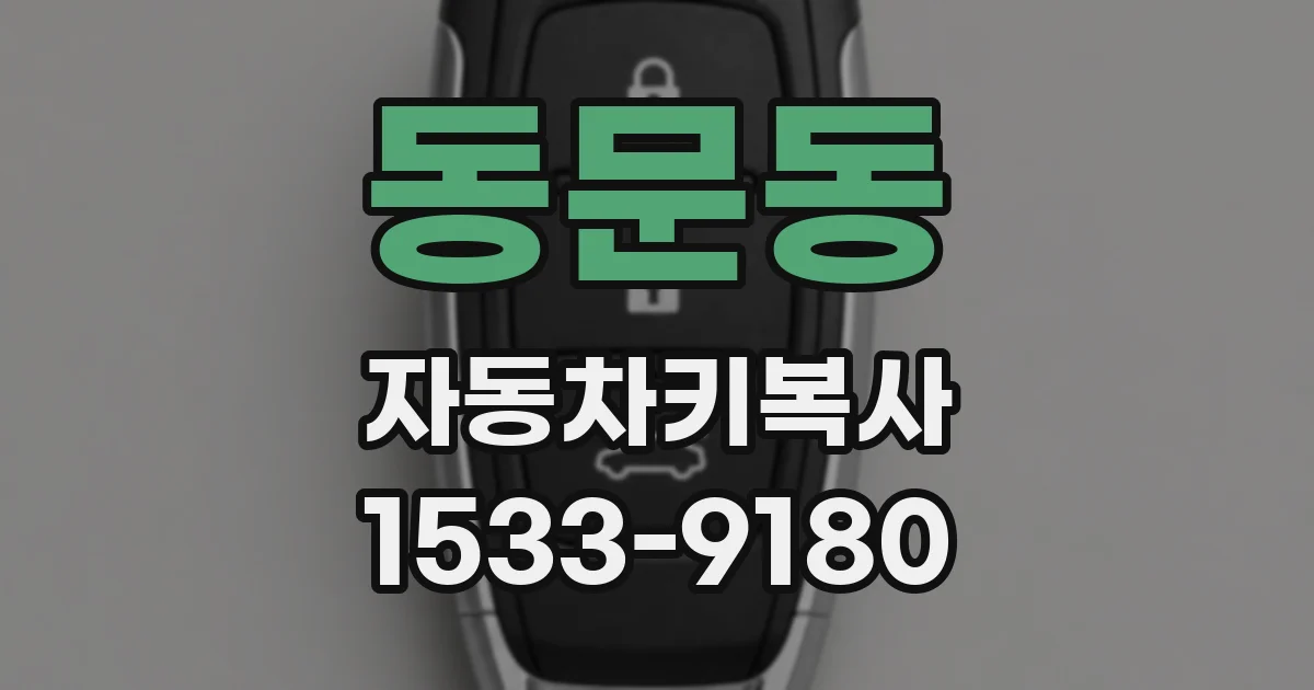 동문동 자동차키복사