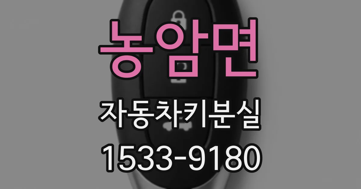 농암면 자동차키분실