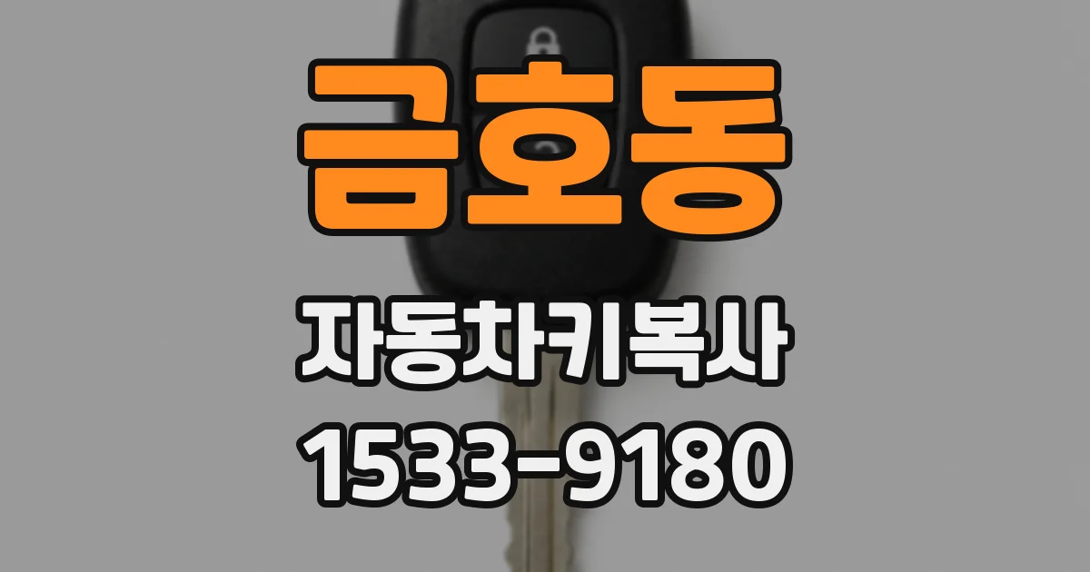금호동 자동차키복사