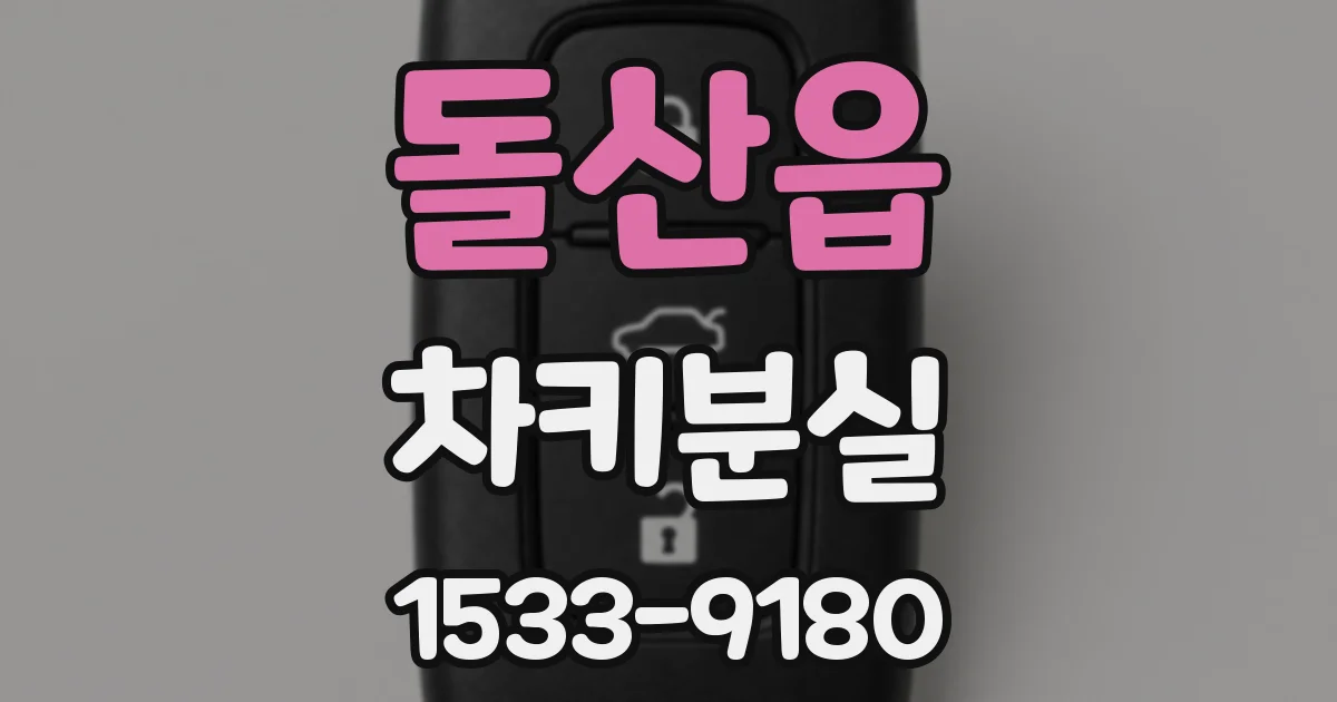 돌산읍 차키분실