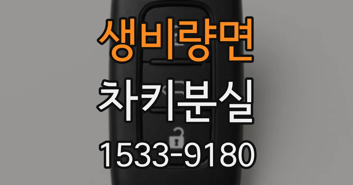 생비량면 차키분실