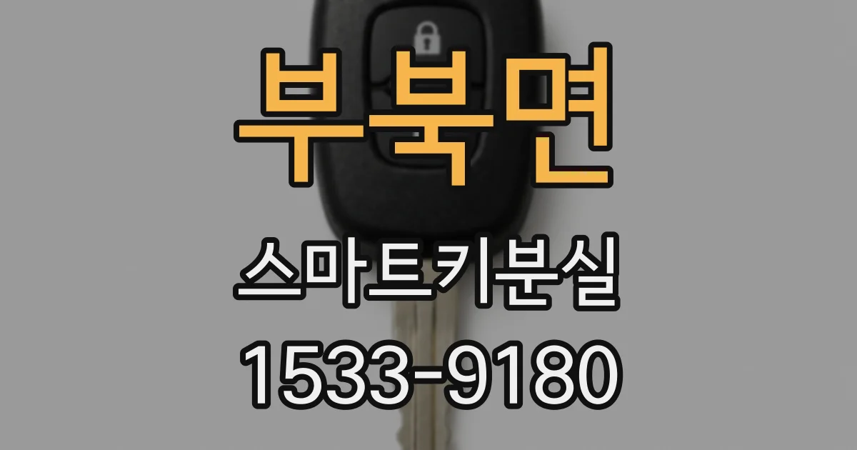 부북면 스마트키분실