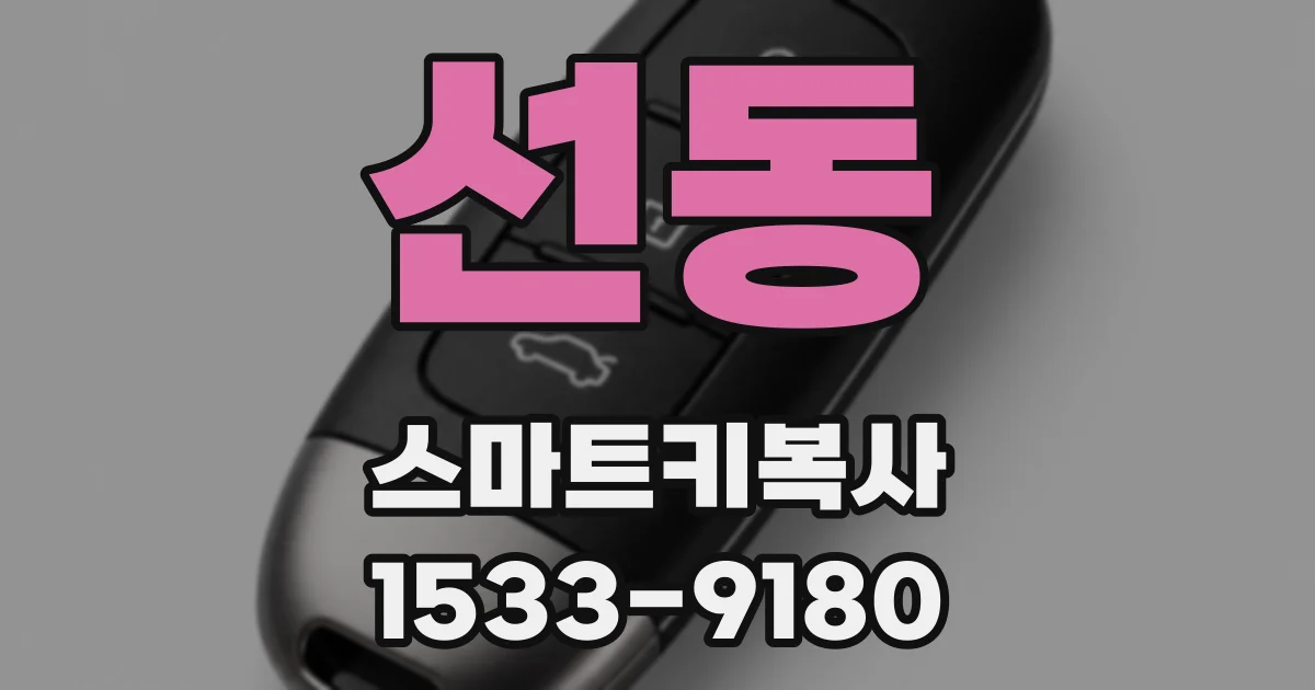 선동 스마트키복사
