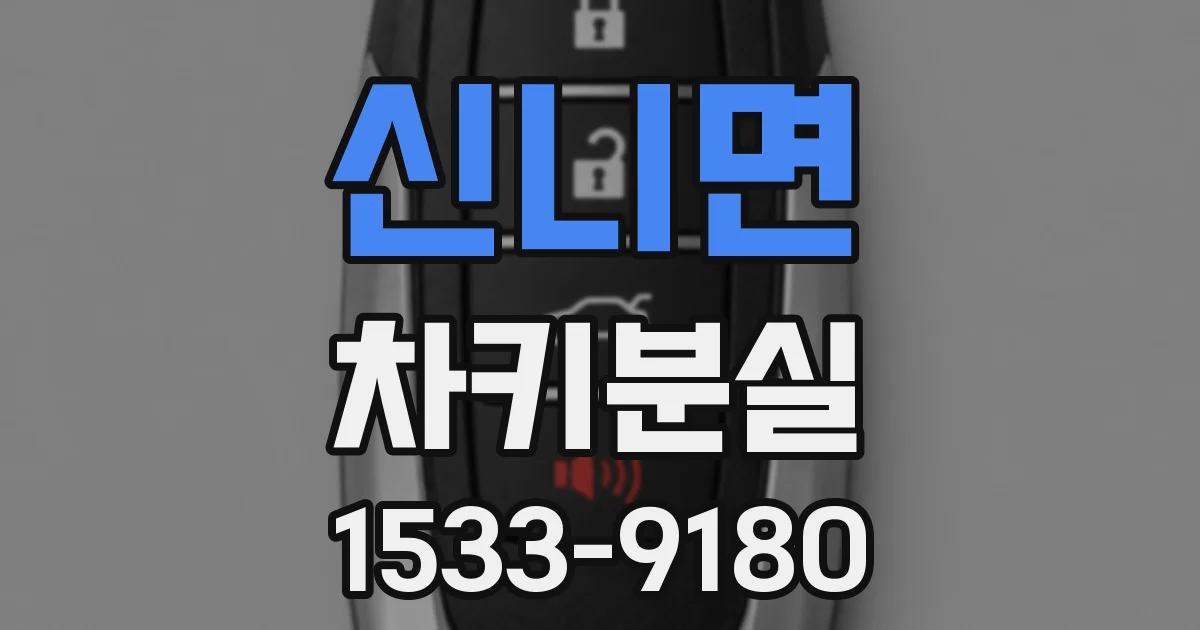 신니면 차키분실