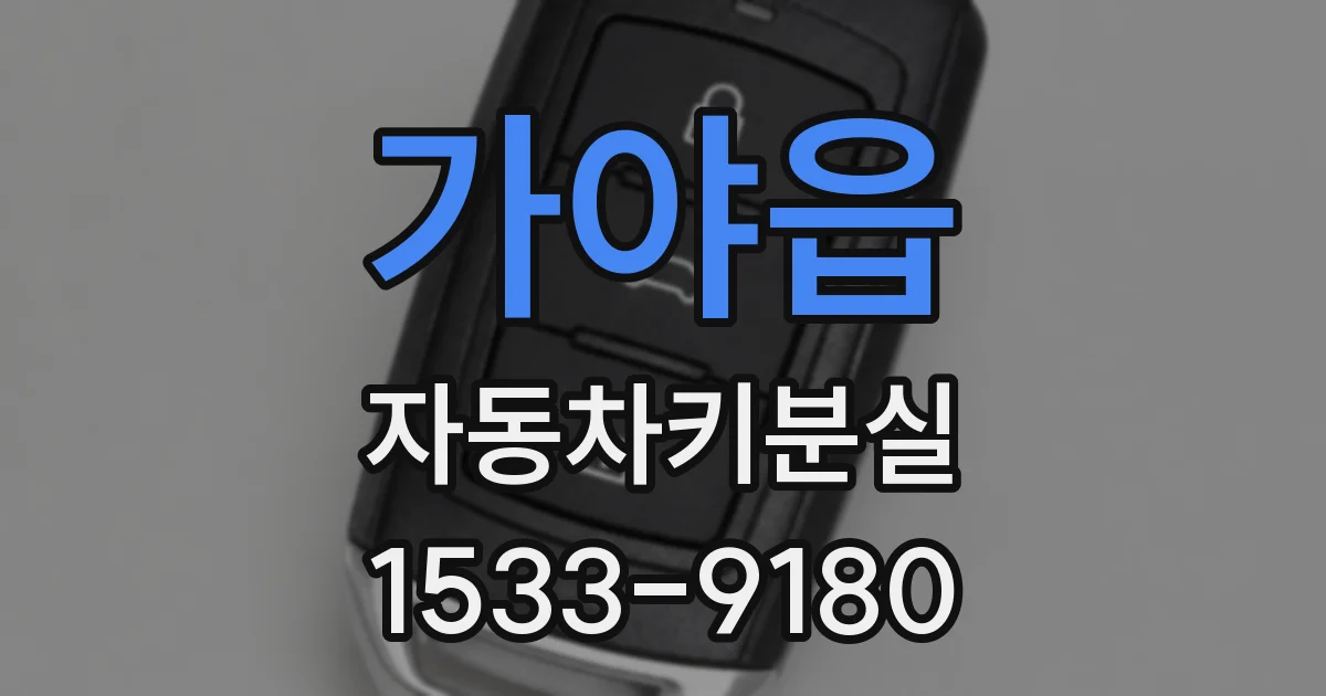 가야읍 자동차키분실