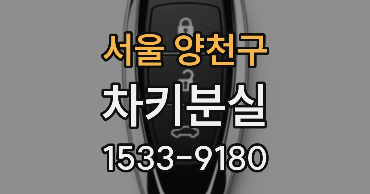 서울 양천구 차키분실