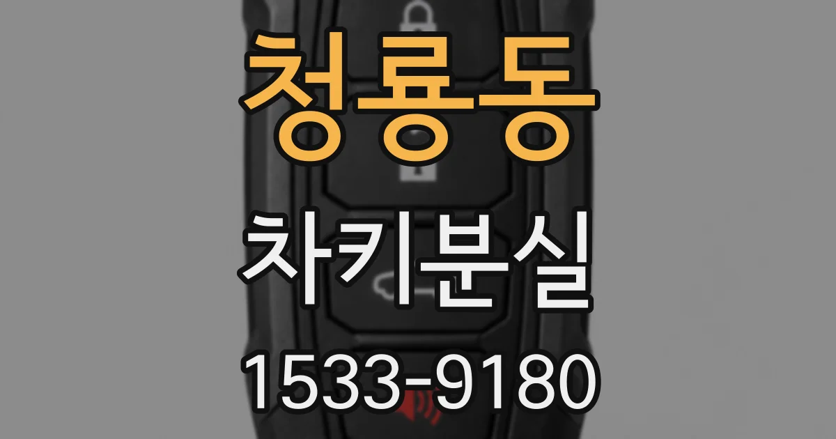 청룡동 차키분실