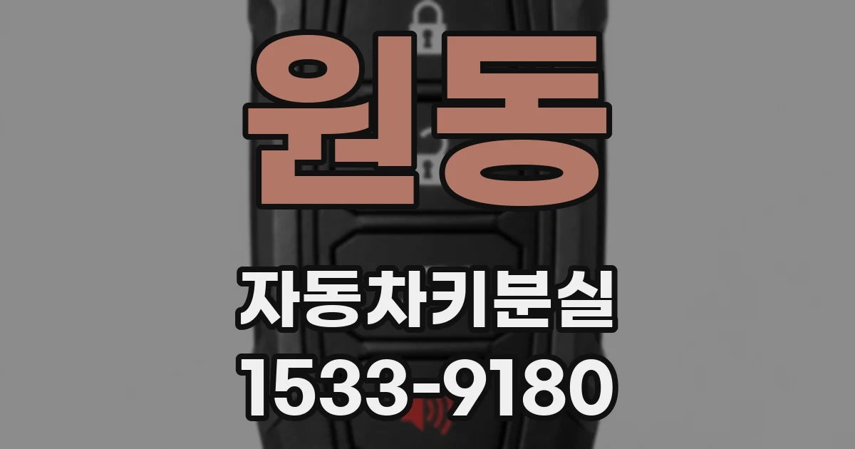 원동 자동차키분실