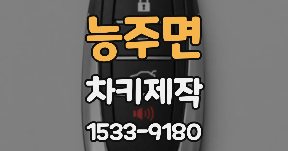 능주면 차키제작