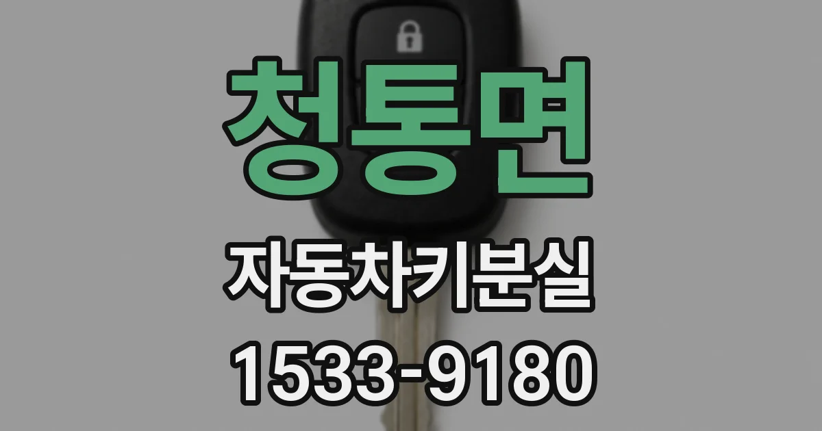 청통면 자동차키분실