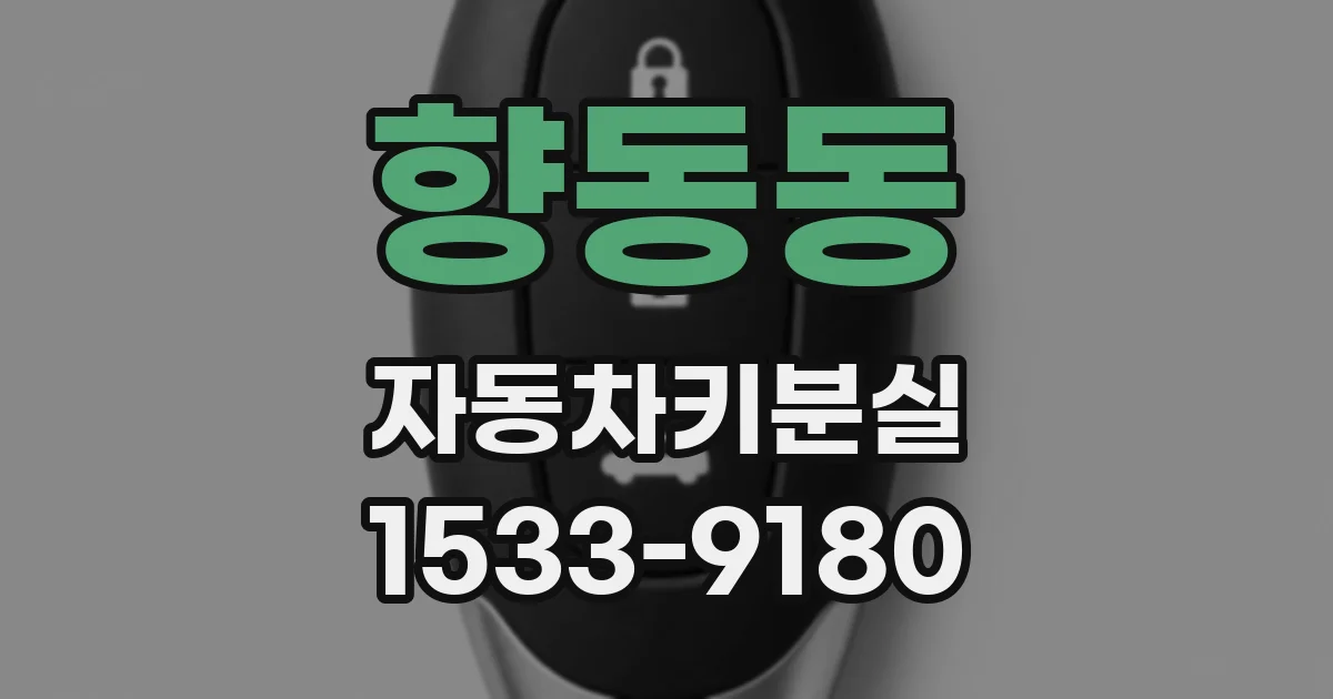 향동동 자동차키분실