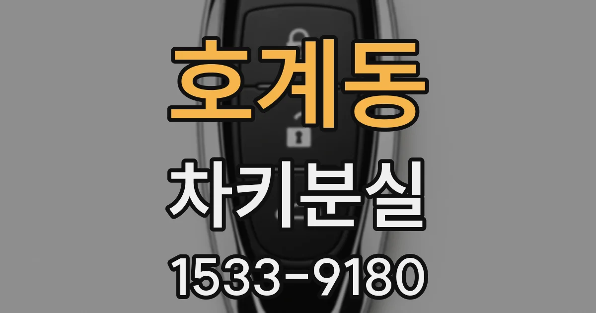 호계동 차키분실