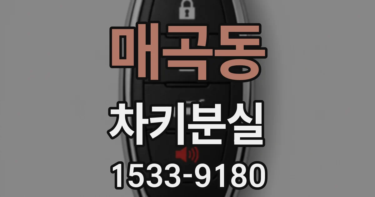 매곡동 차키분실