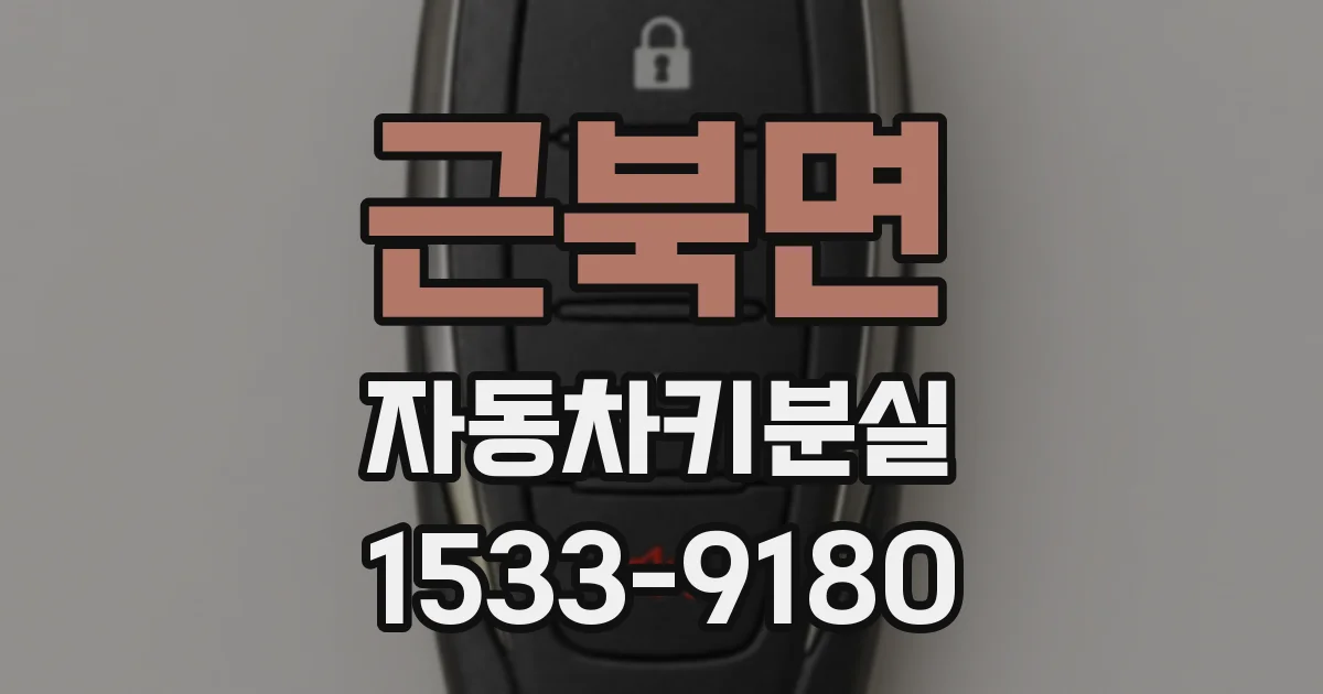 근북면 자동차키분실