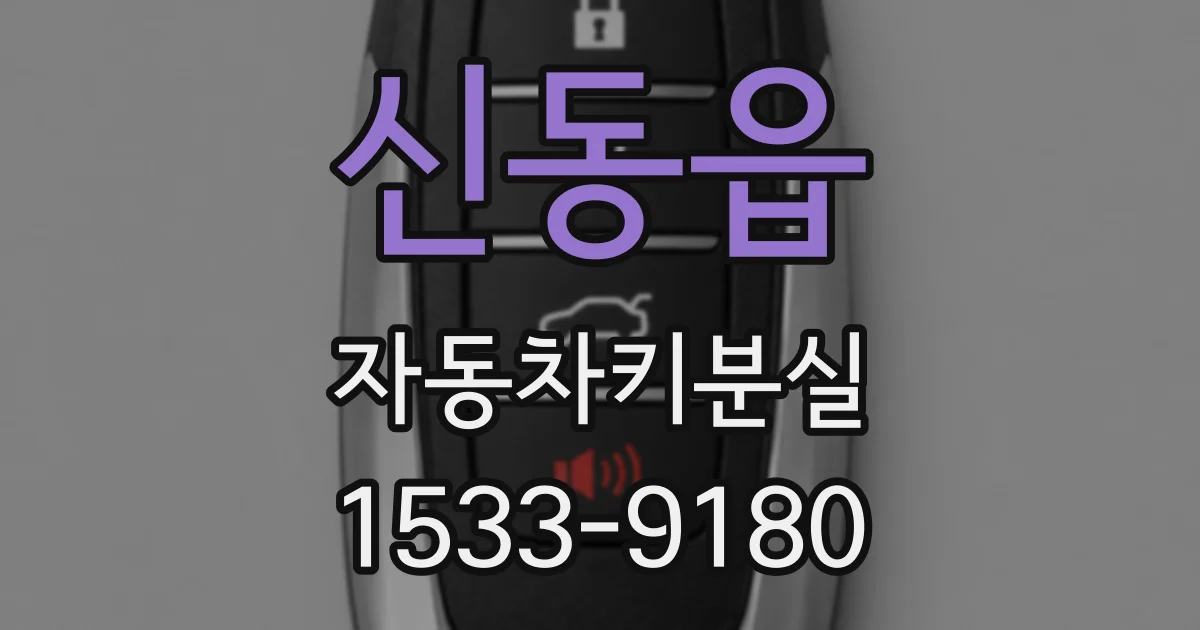신동읍 자동차키분실