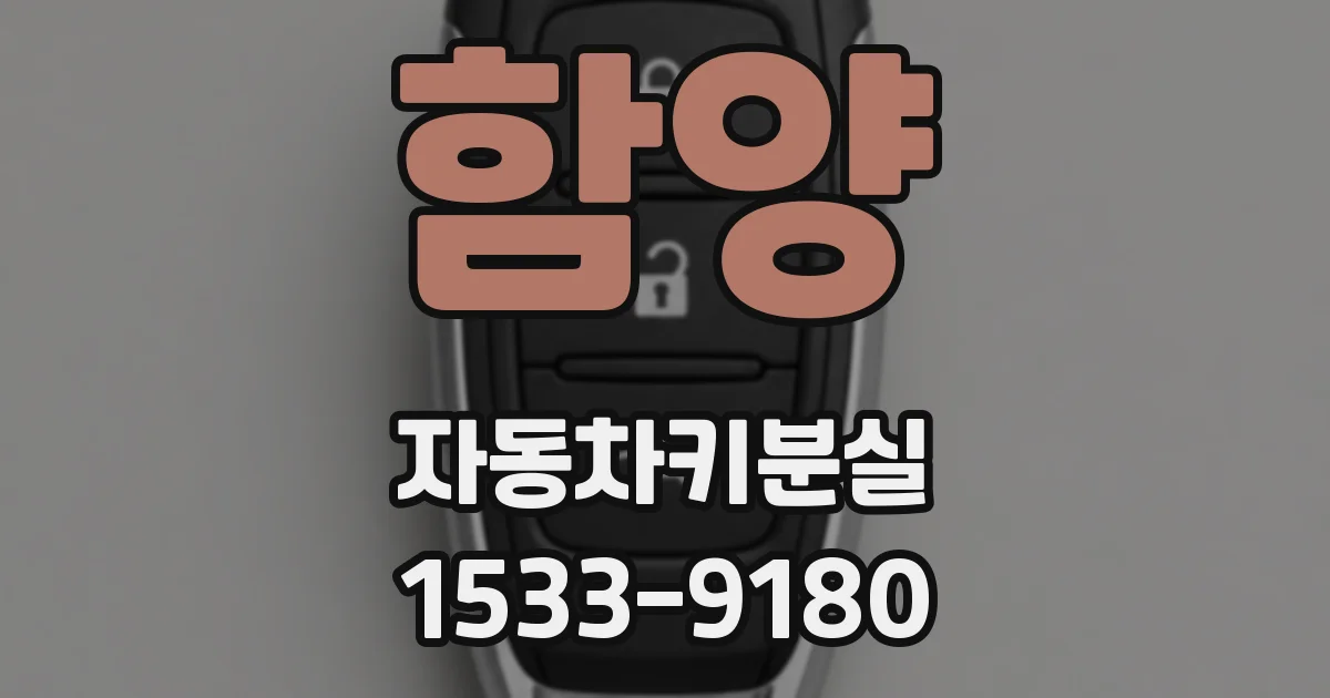 함양 자동차키분실