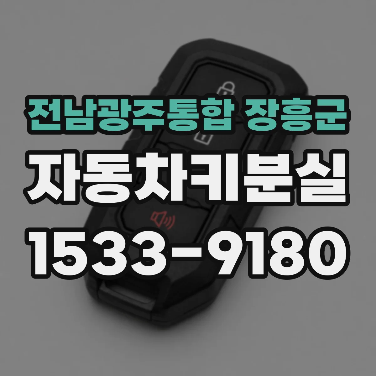 전남광주통합 장흥군 자동차키분실