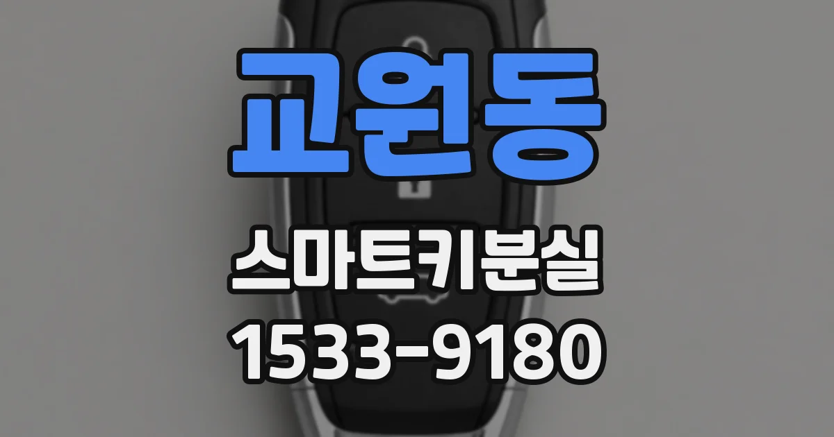 교원동 스마트키분실