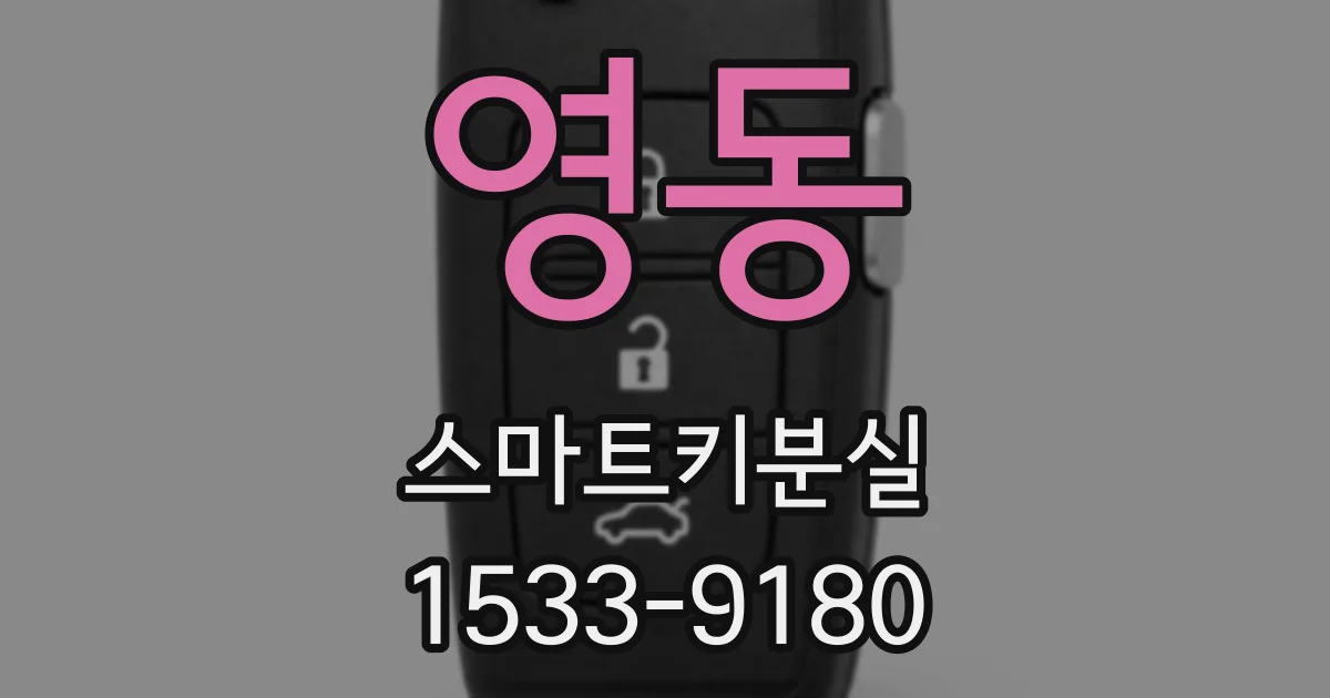 영동 스마트키분실