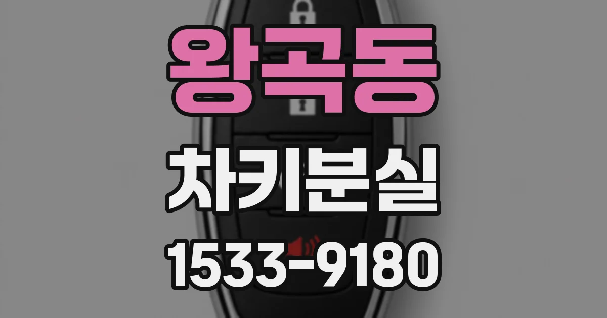 왕곡동 차키분실