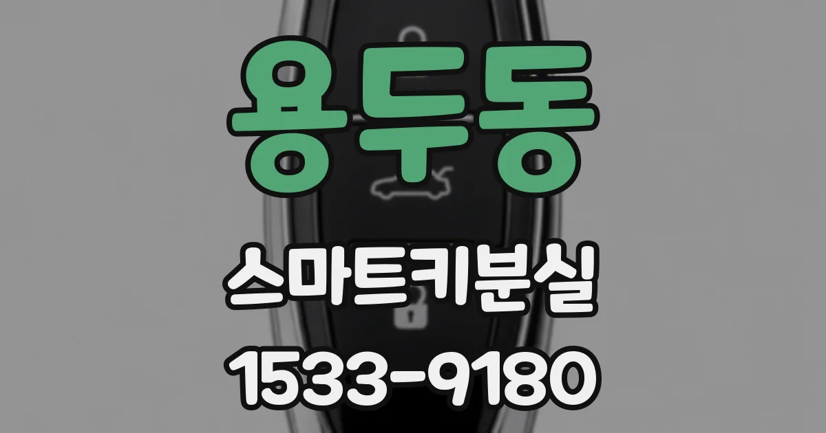 용두동 스마트키분실