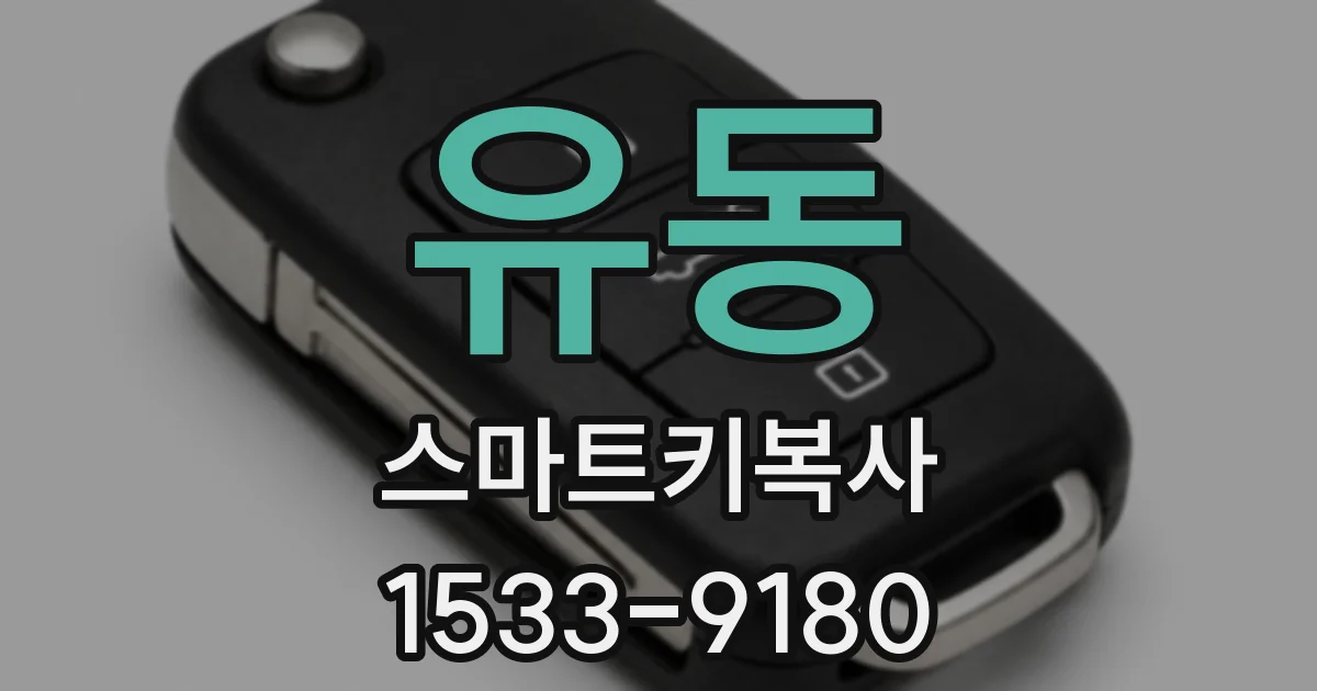 유동 스마트키복사