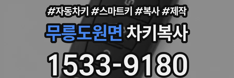 무릉도원면 차키복사