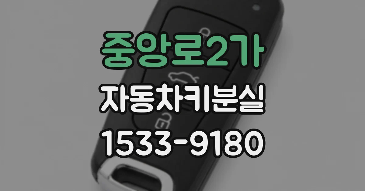 중앙로2가 자동차키분실