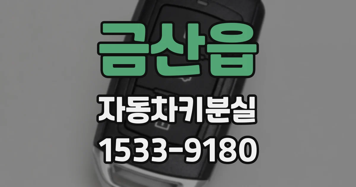 금산읍 자동차키분실